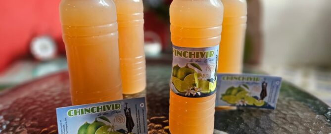 chinchivir
