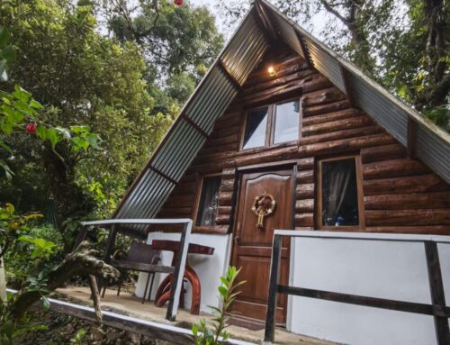 Casa Y Refugio del Bosque-San Mateo Milpas Altas