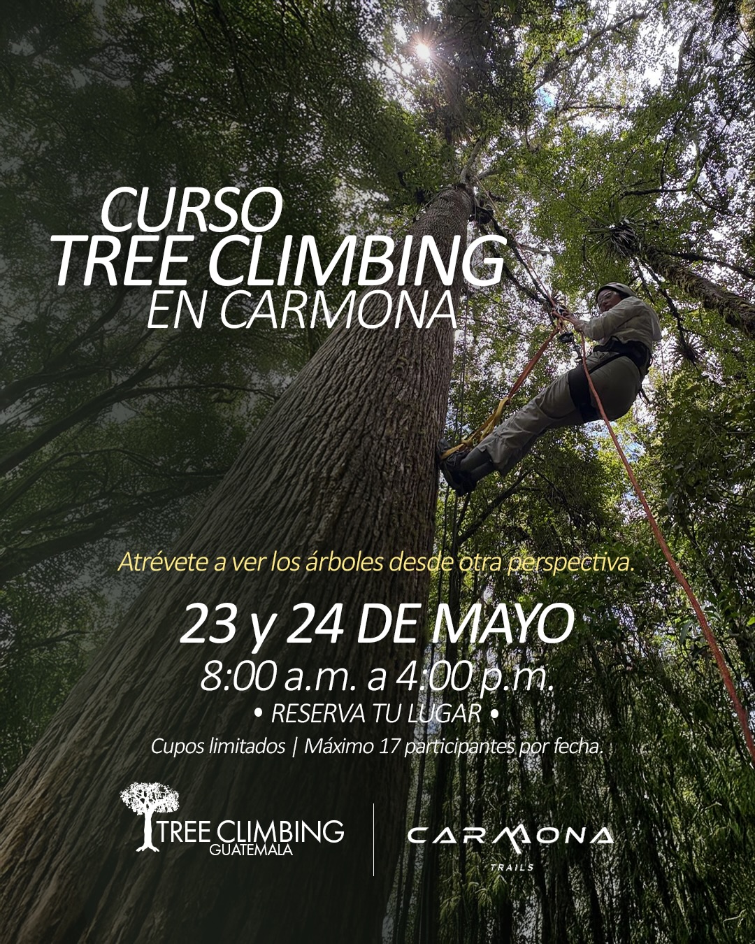 Curso